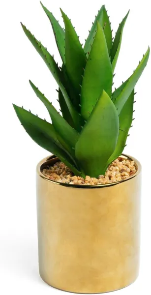 Agave, Tekokasvi, kulta/vihreä, K11x20x20 cm